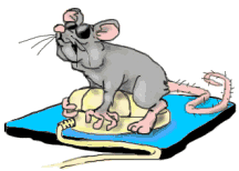 mouse on mouse.gif